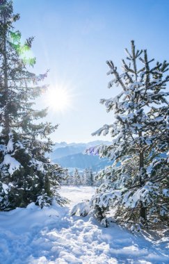 Seefeld, Avusturya 'da güzel kış manzarası