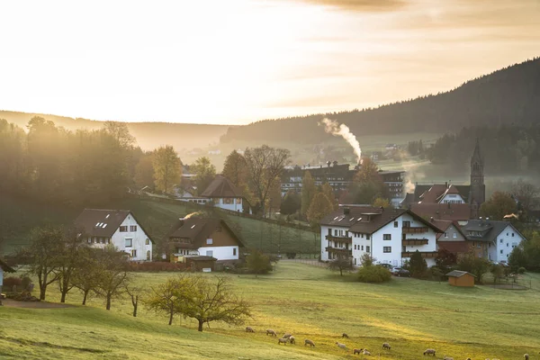 Landskap Nära Byn Baiersbronn Schwarzwald Tyskland — Stockfoto