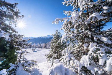 Seefeld, Avusturya 'da güzel kış manzarası