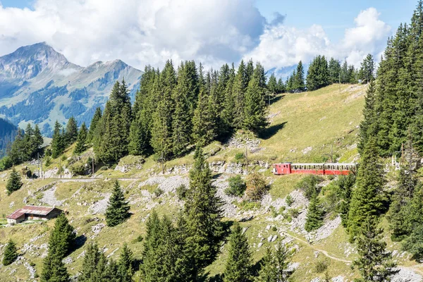 Comboio Famoso Plataforma Schynige Bahn Interlaken Alpes Suíços — Fotografia de Stock
