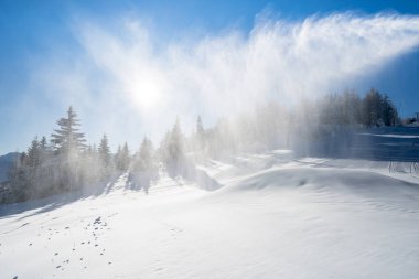Seefeld, Avusturya 'da güzel kış manzarası