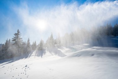 Seefeld, Avusturya 'da güzel kış manzarası