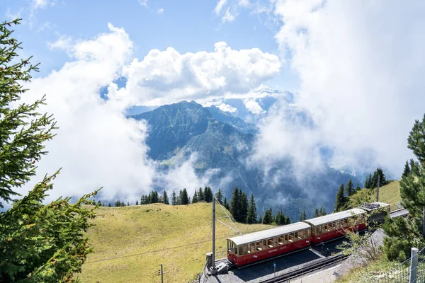 Slavný Vlak Schynige Bahn Interlaken Švýcarské Alpy — Stock fotografie