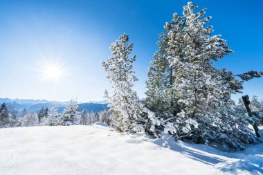 Seefeld, Avusturya 'da güzel kış manzarası