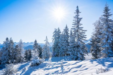 Seefeld, Avusturya 'da güzel kış manzarası