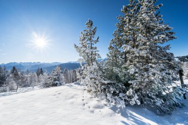 Seefeld, Avusturya 'da güzel kış manzarası