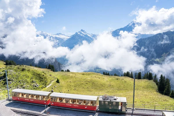 Famoso Tren Schynige Platte Bahn Interlaken Alpes Suizos — Foto de Stock