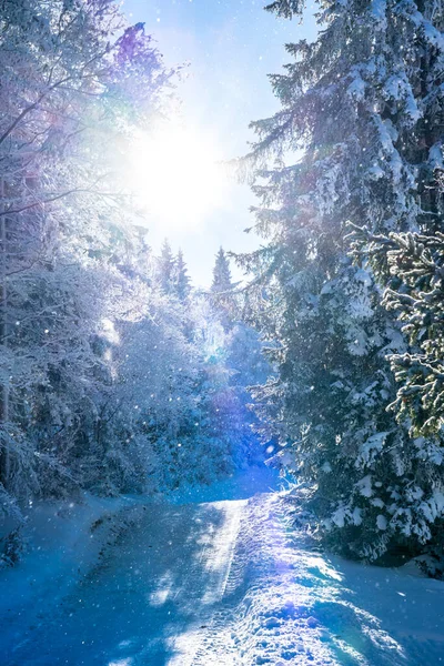 stock image Beautiful winter landscape in Seefeld, Austria