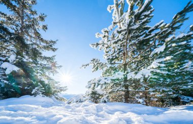 Seefeld, Avusturya 'da güzel kış manzarası