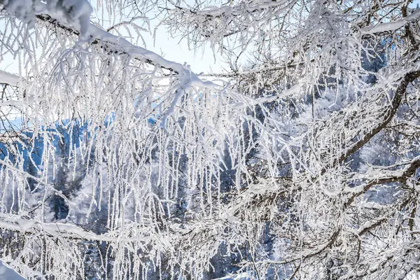 Чудовий Зимовий Краєвид Зефельді Австрія — стокове фото