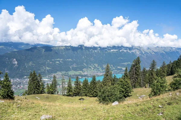 Schynige Platte Interlaken Sviçre Den Harika Bir Manzara — Stok fotoğraf