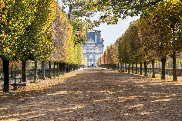 루브르 박물관 공원에 파리의 — 스톡 사진
