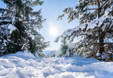 Seefeld, Avusturya 'da güzel kış manzarası