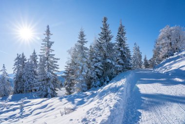 Seefeld, Avusturya 'da güzel kış manzarası