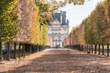Paris 'te sonbahar Louvre Müzesi yakınlarındaki parkta.