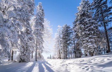 Seefeld, Avusturya 'da güzel kış manzarası