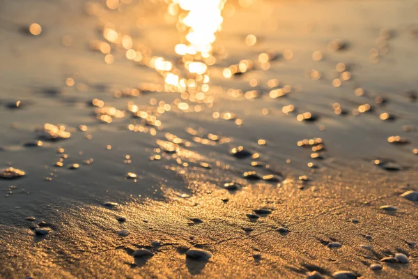 Solnedgång Med Snäckskal Sand — Stockfoto