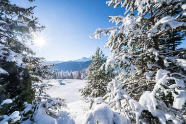 Seefeld, Avusturya 'da güzel kış manzarası