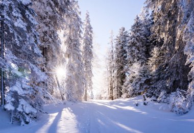 Seefeld, Avusturya 'da güzel kış manzarası