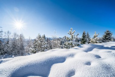 Seefeld, Avusturya 'da güzel kış manzarası