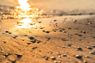 Kum üzerinde deniz kabukları ile gün batımı