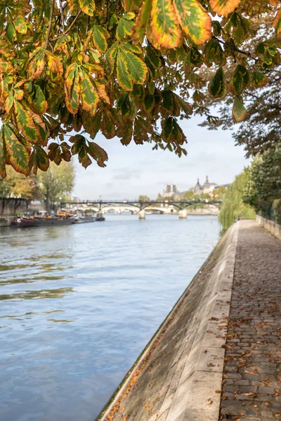 Набережная Реки Сены Париже Франция — стоковое фото