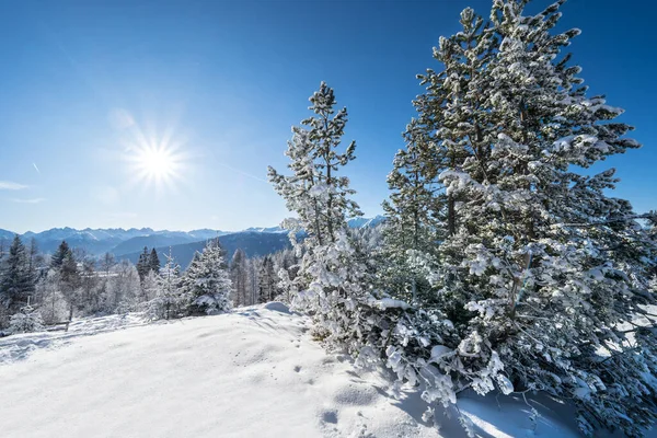 stock image Beautiful winter landscape in Seefeld, Austria