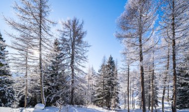 Seefeld, Avusturya 'da güzel kış manzarası
