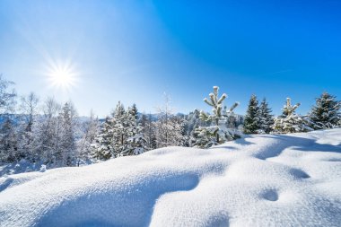Seefeld, Avusturya 'da güzel kış manzarası