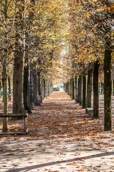 秋天在巴黎卢浮宫附近的公园里 — 图库照片