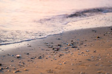 Kum üzerinde deniz kabukları ile gün batımı