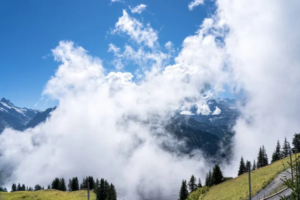 Fantástica Vista Desde Schynige Platte Interlaken Suiza —  Fotos de Stock
