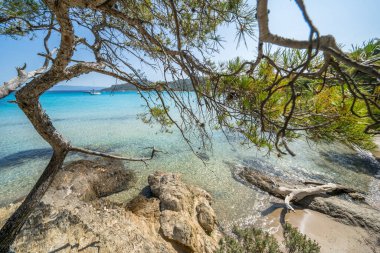 Porquerolles adasındaki dünyaca ünlü Notre Dame plajı (Plage Notre-Dame) (Ile de Porquerolles), Fransa