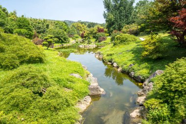 Ünlü Bambu Cevennes Anduze, Occitanie, Fransa