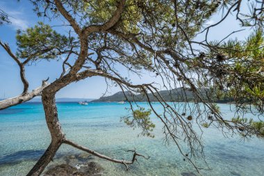 Porquerolles adasındaki dünyaca ünlü Notre Dame plajı (Plage Notre-Dame) (Ile de Porquerolles), Fransa