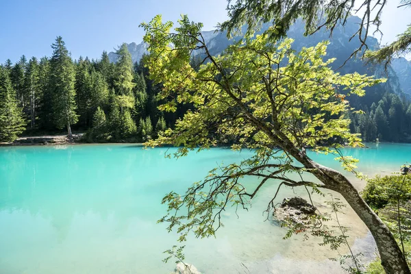 Braiesjön Dolomiterna Sydtyrolen Italien — Stockfoto