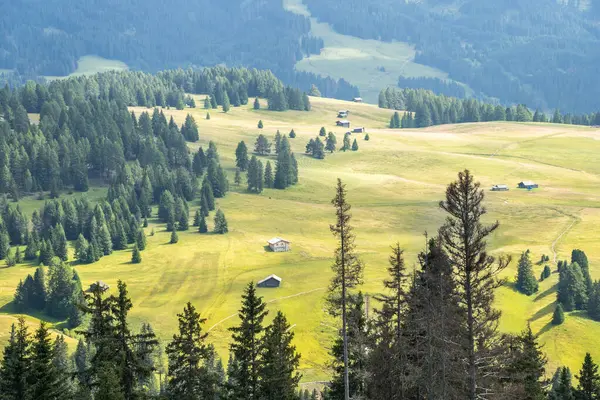 Dünyaca ünlü Seiser Alm (Alpe di Siusi), Güney Tyrol, İtalya.