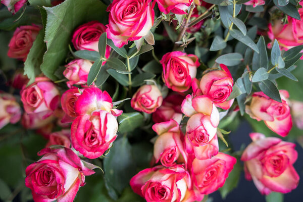 Bouquet of small flowered pink roses