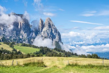 Seiser Alm (Alpe di Siusi) Sciliar (Schlern), Güney Tyrol, İtalya