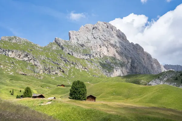 Dünyaca ünlü Seceda zirvesi Dolomite Alpleri, Güney Tyrol (Alto Adige), İtalya