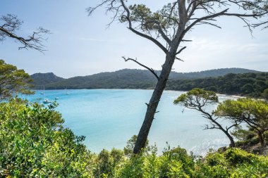 Porquerolles adasındaki dünyaca ünlü Notre Dame plajı (Plage Notre-Dame) (l 'le de Porquerolles), Fransa