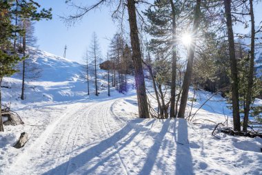 İsviçre 'de Saas-Fee yakınlarında Allalinhorn ve Dom ile ünlü dağ kitlesi.