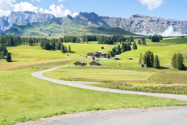 Världsberömda Seiser Alm Alpe Siusi Sydtyrolen Italien Royaltyfria Stockfoton