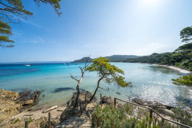 Porquerolles adasındaki dünyaca ünlü Notre Dame plajı (Plage Notre-Dame) (l 'le de Porquerolles), Fransa