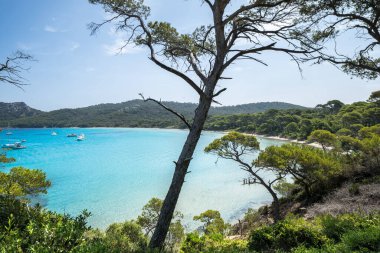Porquerolles adasındaki dünyaca ünlü Notre Dame plajı (Plage Notre-Dame) (l 'le de Porquerolles), Fransa