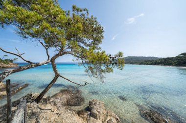 Porquerolles adasındaki dünyaca ünlü Notre Dame plajı (Plage Notre-Dame) (l 'le de Porquerolles), Fransa