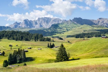 Dünyaca ünlü Seiser Alm (Alpe di Siusi), Güney Tyrol, İtalya.