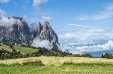 Seiser Alm (Alpe di Siusi) Sciliar (Schlern), Güney Tyrol, İtalya