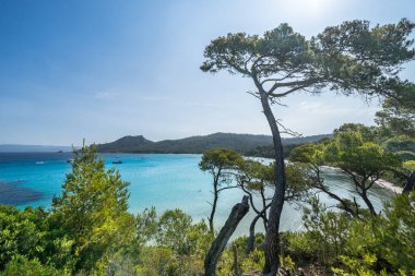 Porquerolles adasındaki dünyaca ünlü Notre Dame plajı (Plage Notre-Dame) (l 'le de Porquerolles), Fransa