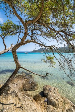 Porquerolles adasındaki dünyaca ünlü Notre Dame plajı (Plage Notre-Dame) (l 'le de Porquerolles), Fransa